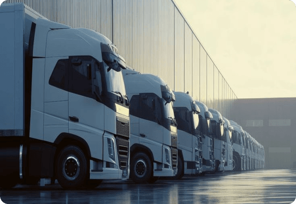 Fleet Management & Logistics